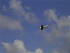 PICT1806.JPG